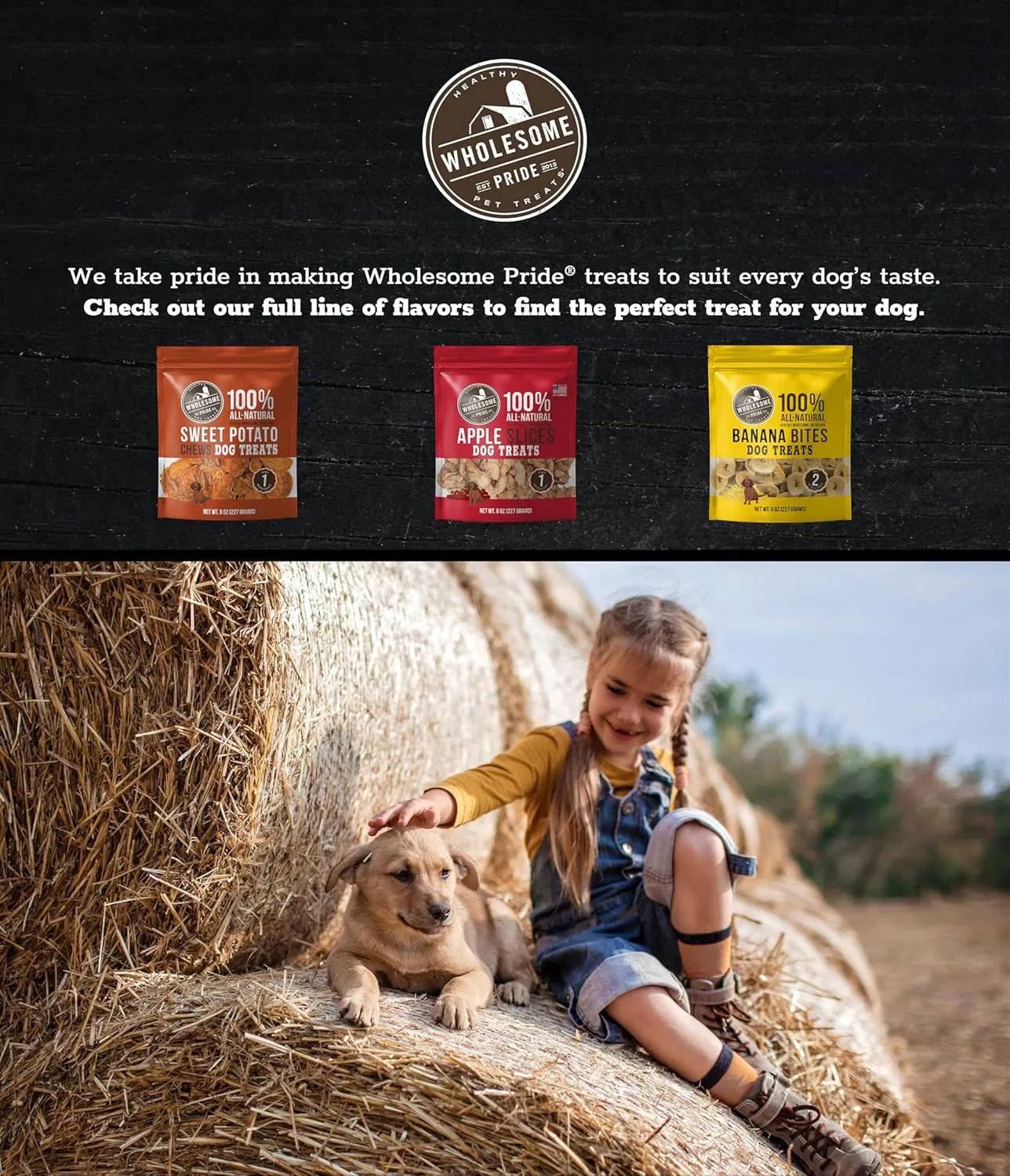 Wholesome Pride Sweet Potato Chews All-Natural Single Ingredient Dog Treats, 32 oz