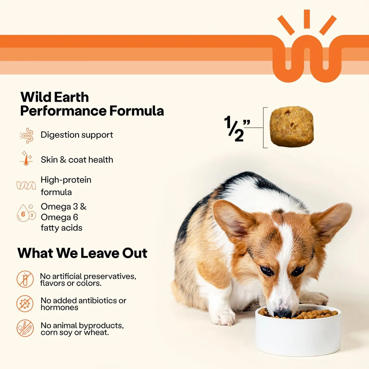 Wild Earth Vegan Dry Dog Food | Plant-Based Maintenance Formula | Vegetarian, Allergy Relief, Veterinarian-Developed for Complete Nutrition | Classic Roast Flavor, 28 Pound Bag