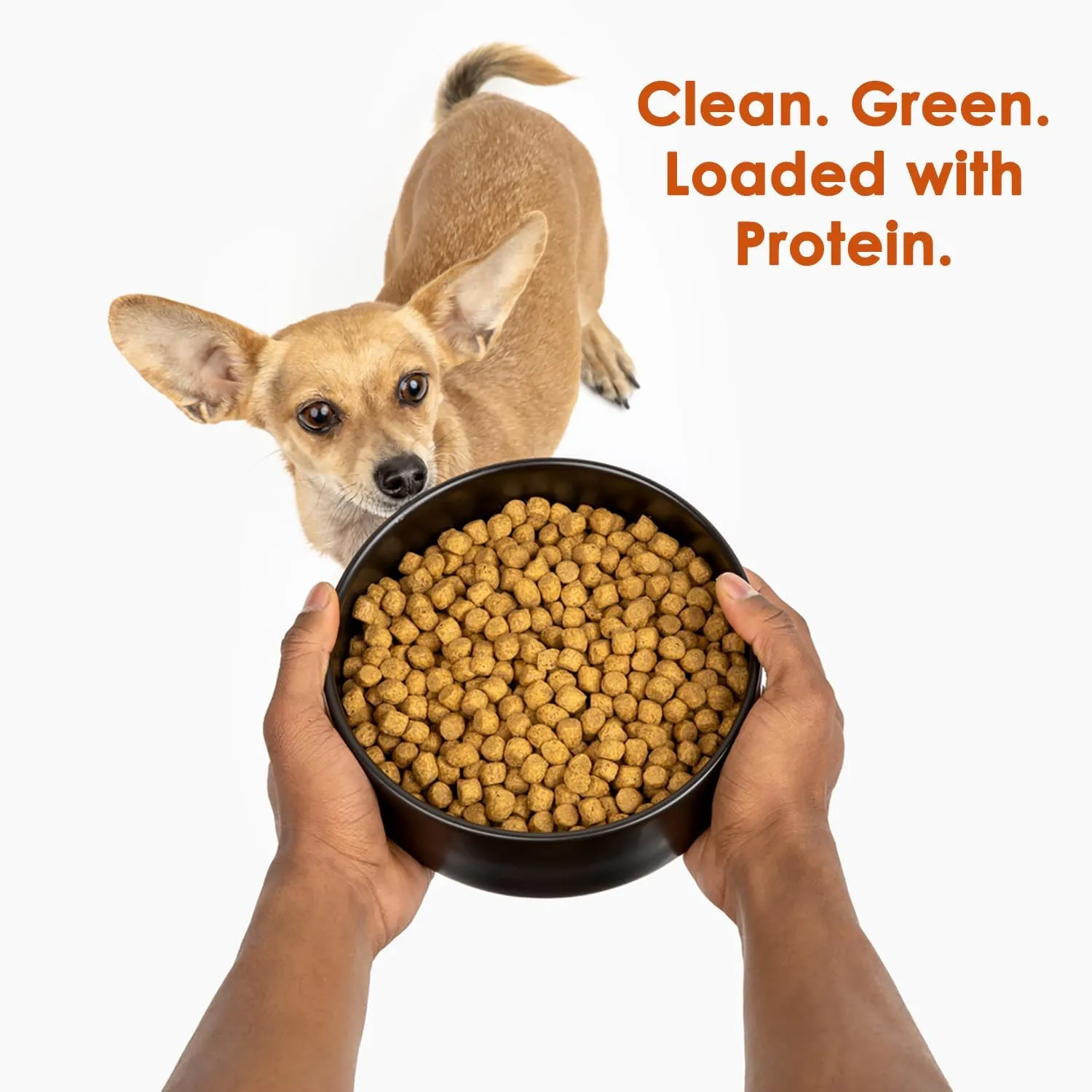 Wild Earth Vegan Dry Dog Food | Plant-Based Maintenance Formula | Vegetarian, Allergy Relief, Veterinarian-Developed for Complete Nutrition | Classic Roast Flavor, 28 Pound Bag