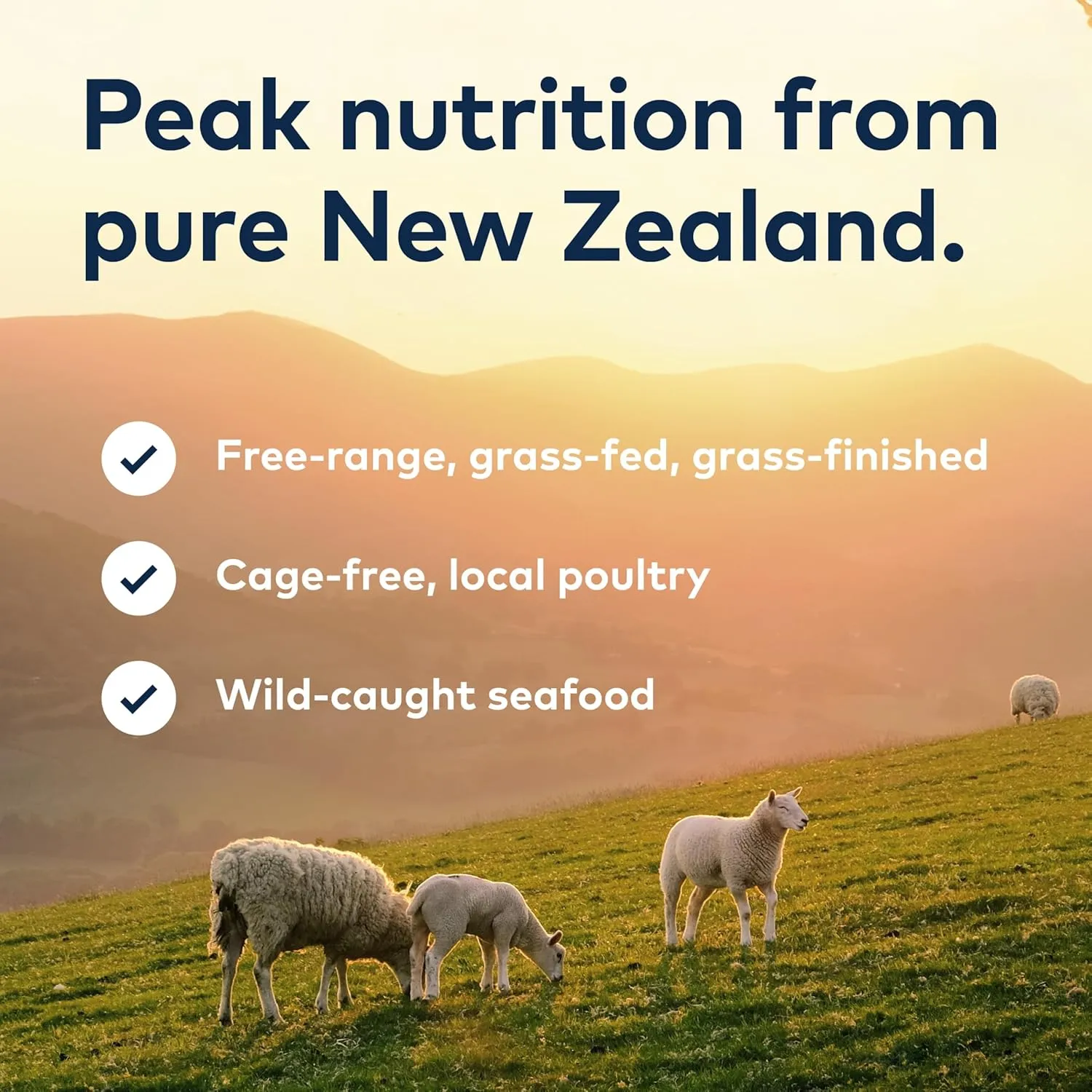 ZIWI Peak Air-Dried Dog Food  Lamb - All Natural, High Protein, Grain Free, Limited Ingredient w/ Superfoods (16oz)